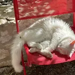 La Tranquilitude Ceyzerieu